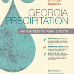 Georgia Precipitation